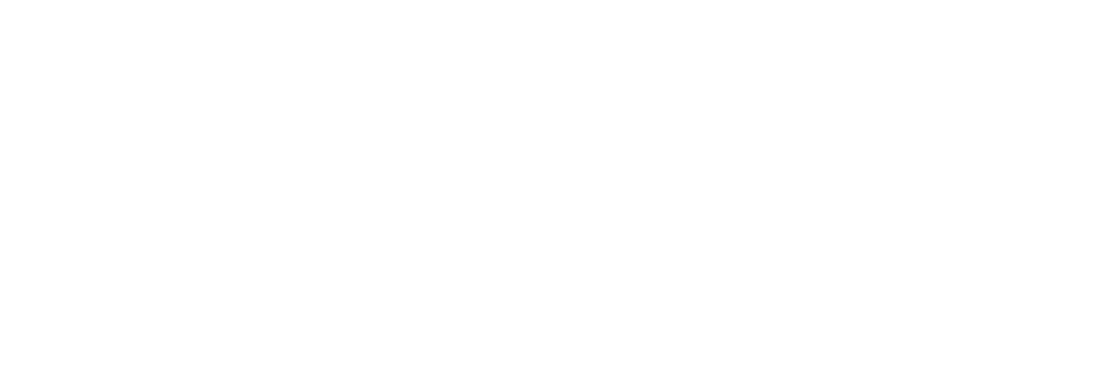 Wise Guys Lab Logo